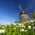 Le moulin de Lautrec au printemps