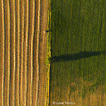 Photo par drone dans le Tarn. Graphisme dans les champs à Navès